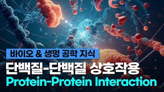 바이오 amp 생명 공학 지식 단백질단백질 상호작용 PPIProteinProtein Interaction [upl. by Regnig305]