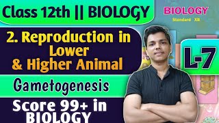 L7  2 Reproduction in Lower and Higher Animal Class 12 Biology Gametogenesis biology [upl. by Einalem]