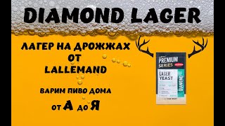 Diamond Lager Варим лагер на дрожжах Lallemand Варим пиво дома [upl. by Aix]