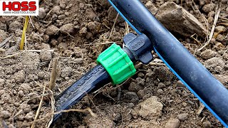 How to Install a Simple Drip Irrigation System for Your Vegetable Garden [upl. by Nitsud]