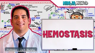 Hematology  Hemostasis Coagulation Cascade [upl. by Aleunam420]