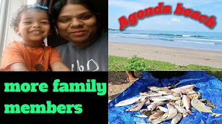 Agonda Beach  Fresh Fish From Sea  Miraculous cross In Agonda And Lots More [upl. by Ryon]