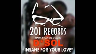 DSol  Insane for your love Original Mix [upl. by Ellemrac]