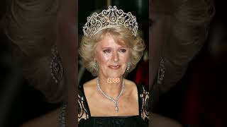 Camilla vs Diana Who Wears the Most Stunning Tiaras royal diana camilla queenelizabeth tiara [upl. by Aramal]