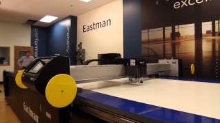 Eastman Conveyor Cutting System [upl. by Zedekiah708]