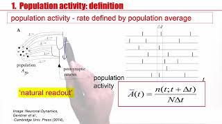 NDC31  Population activity [upl. by Snyder]