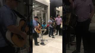 Fidencio Ayala Y José Luis Ayala Cantando Triste Gaviota [upl. by Mozza]