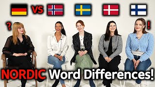 German and Nordic Language How Similar Are They Germany VS Norway Sweden Denmark Finland [upl. by Eyatnod]