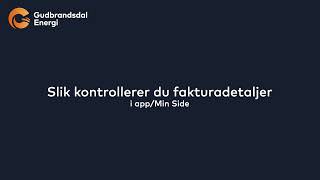 Tutorial appMin Side  Slik kontrollerer du fakturadetaljer [upl. by Moreen]