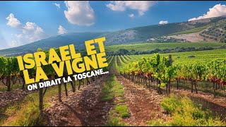 Israël et la vigne  on dirait la Toscane [upl. by Cruz357]