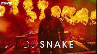 Dj Snake Mix ✖️ Best of Remix Mashup and Songs ✖️  VM 12 [upl. by Isyak]