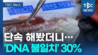 단속 결과 DNA 불일치 ‘30’ 곳곳 가짜 한우ㅣTBC뉴스 [upl. by Lekcim]