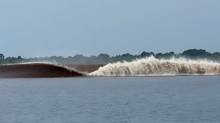 ombak bono  tidal bore  8 september 2024 [upl. by Akihsat920]