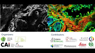 Lecture 7 Frequencydomain Fluorescence Lifetime Imaging Microscopy [upl. by Esmaria]