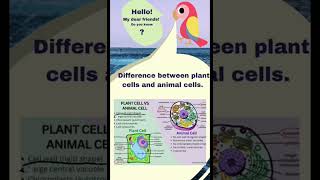 Difference between plant cells and animal cells [upl. by Naasah872]