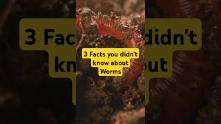 3 Surprising Facts About WormsEarthworms NatureFacts WildlifeWonders ScienceExplained funfacts [upl. by Haden]