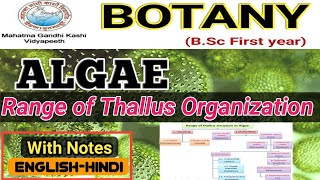 Range of Thallus Structure in AlgaeRange of Thallus organization in AlgaeBSc 1st year Botany [upl. by Brothers816]