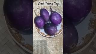 Lodeh Terong Ungu MbilungFoods [upl. by Eilahs]