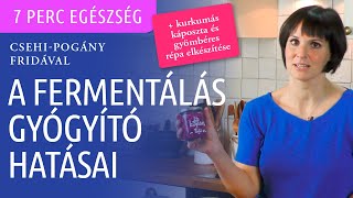 A fermentálás gyógyító hatásai  gyulladáscsökkentő savanyúkáposzta és gyömbéres répa [upl. by Rape]