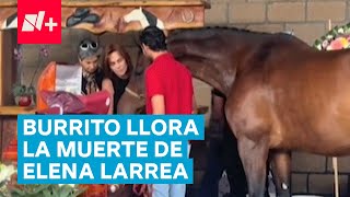 Caballos y burritos lamentan y dan el último adiós a Elena Larrea  N [upl. by Kanor]