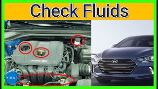 How to Check and Fill Fluids COMPLETE GUIDE  Hyundai Elantra 20172018 [upl. by Rafter]