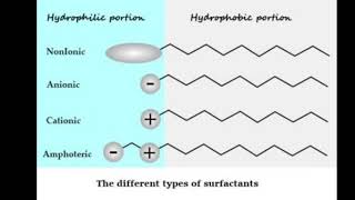 Types of Surfactants [upl. by Repsac]