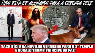 SACRIFÍCIO DA NOVILHA VERMELHA PARA O 3° TEMPLO E DONALD TRUMP PRÍNCIPE DA PAZ [upl. by Rats]