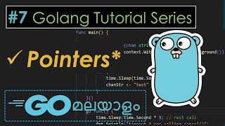 Golang Tutorial Series  Pointers  Part 7  Malayalam Programming [upl. by Lebatsirc122]