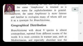 Branchiostoma Part 1stBSc [upl. by Noemad]