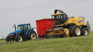 Harvest Time in Canada by Tammo and Jörn Gläser English DVDPreview [upl. by Ecnerat]