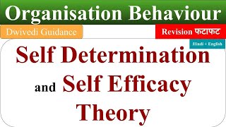 Self Efficacy Theory of motivation in hindi self determination theory of motivation OB revision [upl. by Coffeng189]