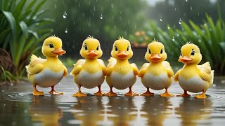 Counting with Five Yellow Ducks on a Rainy Day 🌧️🐥  AnimatedKnowledgeBox [upl. by Naitsirk390]