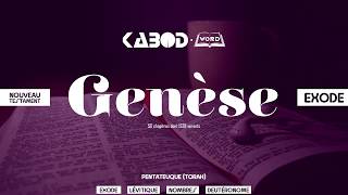 « Genèse »  LAncien Testament  La Sainte Bible audio VF Complète [upl. by Tavi602]