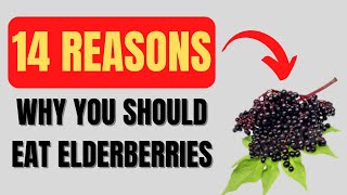 Elderberry Benefits 14 Impressive Elderberry Health Benefits [upl. by Lorrac]