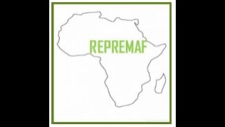 WebinaireRepremaf Maladie dAlzheimer  Dr Rokhaya Diajhete Sénégal Dr Joseph Traoré Mali [upl. by Huston]