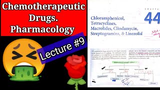 Chemotherapeutic drugs pharmacology lecture9 chapter 44 chloramphenicol tetracycline MACROLIDES [upl. by Antonetta678]