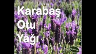 KARABAŞ OTU YAĞI [upl. by Lacey]