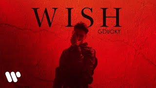 GDUCKY  WISH OFFICIAL MUSIC VIDEO [upl. by Hewett]