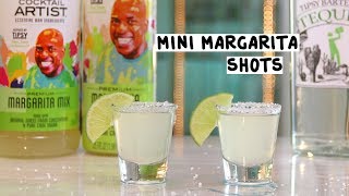 Cocktail Artist Mini Margarita Shots  Tipsy Bartender [upl. by Olegnaid]