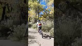 Epic Fall Ride Through Golden Trails mtb [upl. by Wei]