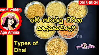 ✔මේ පරිප්පු වර්ග හඳුනනවාද Kadala  dhal varieties by Apé Amma [upl. by Eizdnil840]