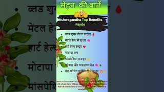 Ashwagandha Top Benefits Fayde shorts shortsfeed ytshorts health [upl. by Sudnak]