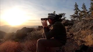 Deer Hunting in Southern California Hunting Alamo Mountain [upl. by Mord]