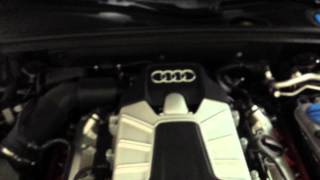 WTF is this clicking noise in engine bay for Audi B8 S4 [upl. by Kolnos932]