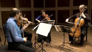 Penderecki String Quartet  Cuarteto de cuerdas en F menor Op 80 Allegro vivace assai [upl. by Lorrimor98]