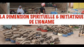 LA FÊTE DE LIGNAME DIMENSION MYSTIQUE CODE INITIATIQUE amp RITES DE LIGNAME LES VÉRITÉS DÉVOILÉES [upl. by Janith243]