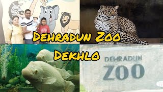 Dehradun Zoo Malsi Deer Park Vlog 2024 l देहरादून चिड़ियाघर उत्तराखंड l Rawatofficialshorts [upl. by Aihcrop]