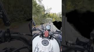 Riding a Royal Enfield Himalayan 450 Heading to the Motorcycle Tent Gathering [upl. by Annoyt]