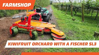 Mowing in a kiwifruit orchard with a Fischer SL3 inter row mower [upl. by Lienaj]