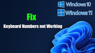 Fix Keyboard Numbers not Working Windows 1110 [upl. by Trautman]